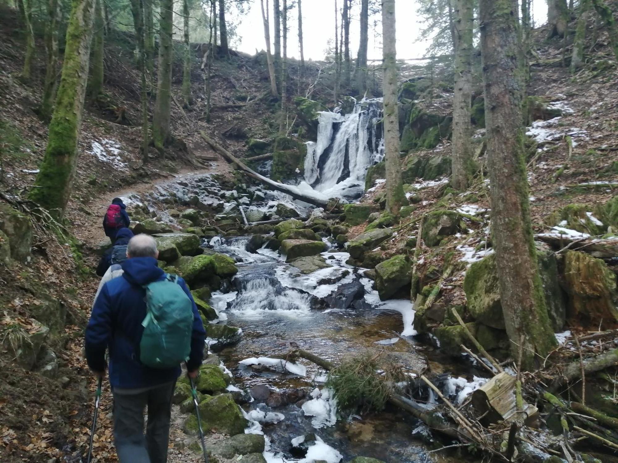Blackforest Perla Höchenschwand Exteriör bild