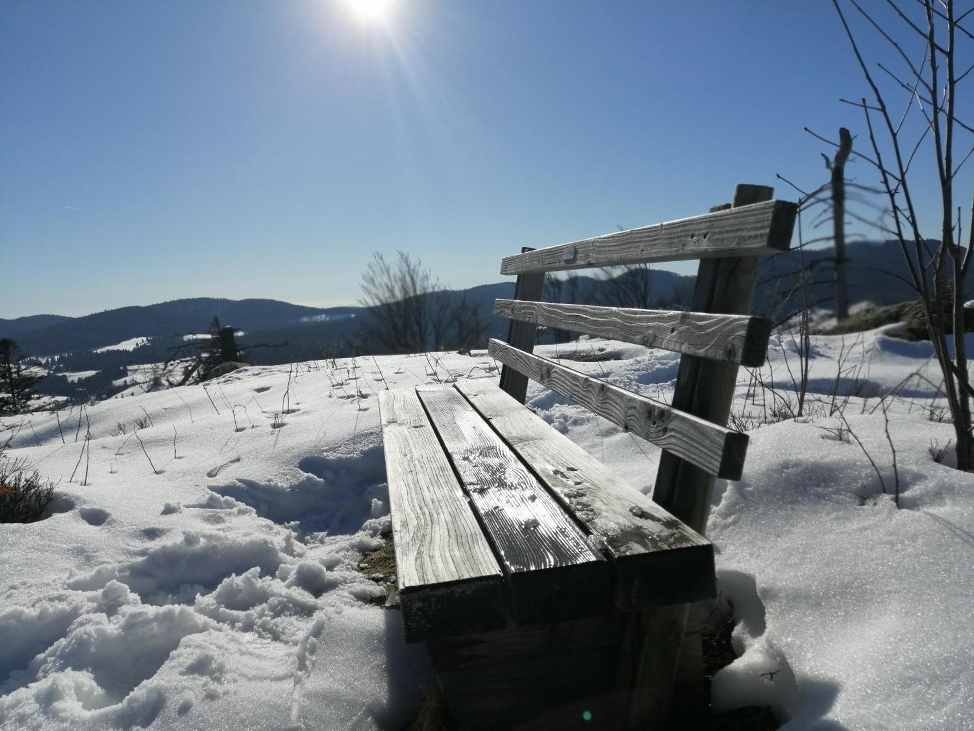 Blackforest Perla Höchenschwand Exteriör bild