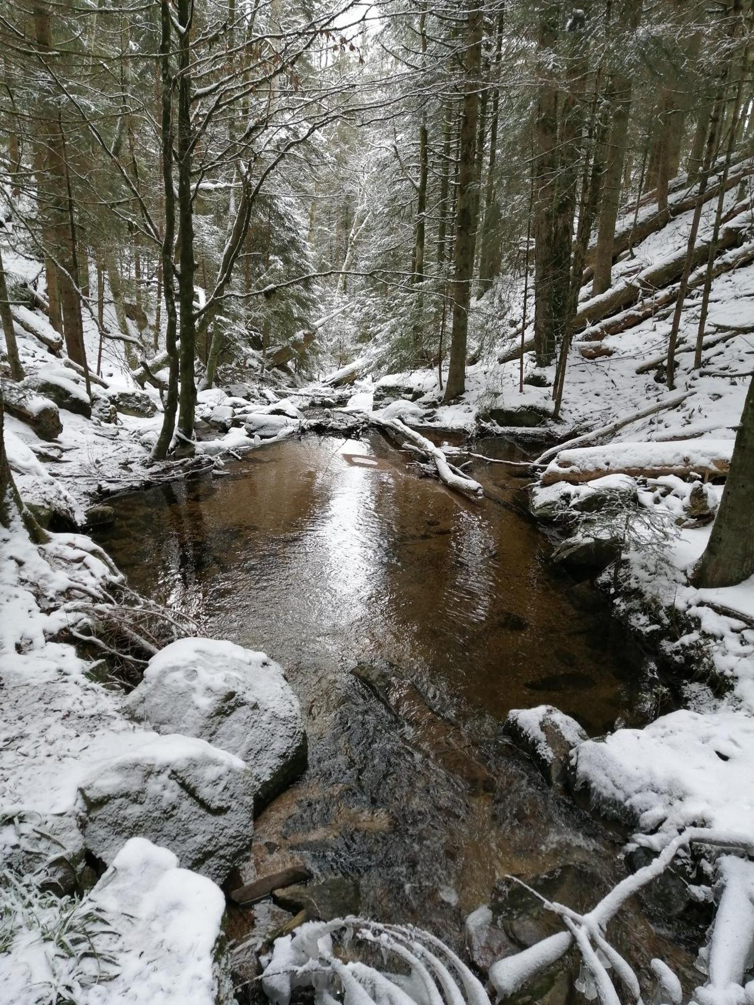 Blackforest Perla Höchenschwand Exteriör bild